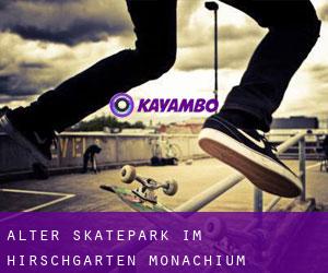 Alter Skatepark im Hirschgarten (Monachium)