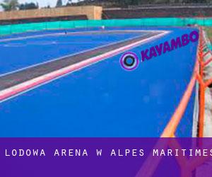 Lodowa Arena w Alpes-Maritimes