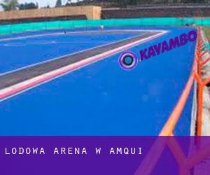 Lodowa Arena w Amqui