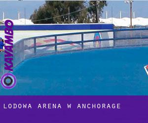 Lodowa Arena w Anchorage