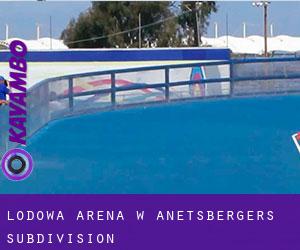 Lodowa Arena w Anetsberger's Subdivision
