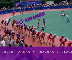Lodowa Arena w Aragona Village