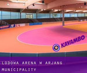 Lodowa Arena w Årjäng Municipality