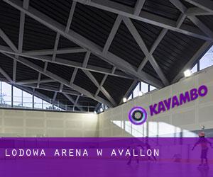 Lodowa Arena w Avallon