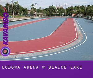 Lodowa Arena w Blaine Lake