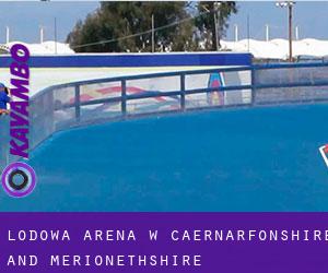 Lodowa Arena w Caernarfonshire and Merionethshire