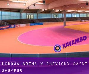 Lodowa Arena w Chevigny-Saint-Sauveur