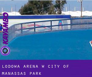 Lodowa Arena w City of Manassas Park