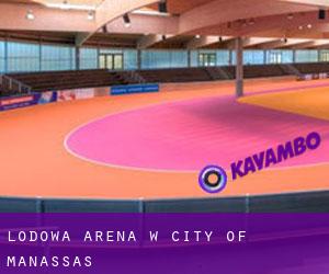 Lodowa Arena w City of Manassas