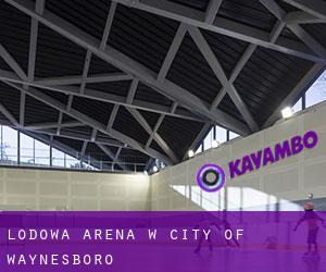 Lodowa Arena w City of Waynesboro