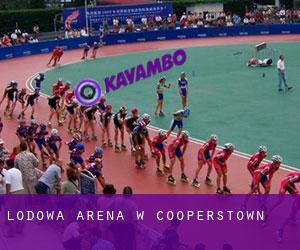 Lodowa Arena w Cooperstown