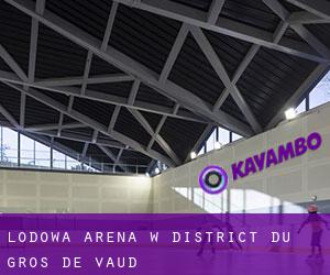 Lodowa Arena w District du Gros-de-Vaud