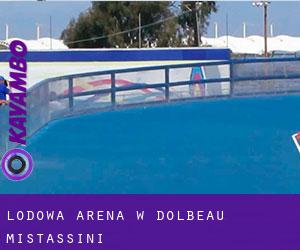 Lodowa Arena w Dolbeau-Mistassini