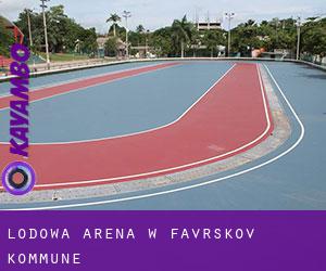 Lodowa Arena w Favrskov Kommune