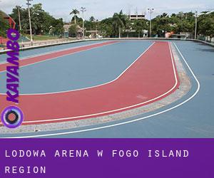 Lodowa Arena w Fogo Island Region