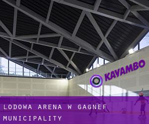 Lodowa Arena w Gagnef Municipality