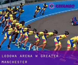 Lodowa Arena w Greater Manchester