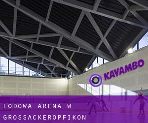 Lodowa Arena w Grossacker/Opfikon