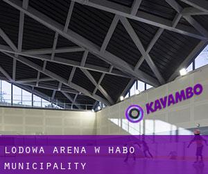 Lodowa Arena w Håbo Municipality