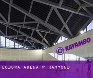Lodowa Arena w Hammond