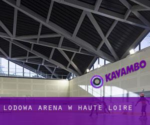 Lodowa Arena w Haute-Loire