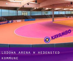 Lodowa Arena w Hedensted Kommune