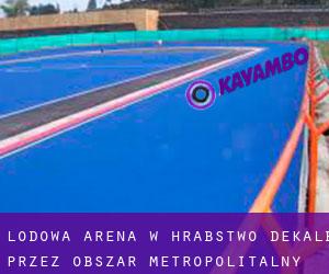 Lodowa Arena w Hrabstwo DeKalb przez obszar metropolitalny - strona 1