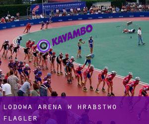 Lodowa Arena w Hrabstwo Flagler