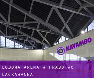 Lodowa Arena w Hrabstwo Lackawanna