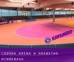 Lodowa Arena w Hrabstwo Winnebago