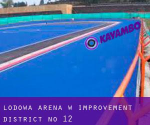 Lodowa Arena w Improvement District No. 12