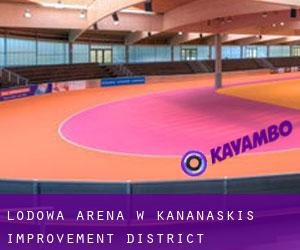 Lodowa Arena w Kananaskis Improvement District