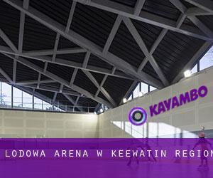 Lodowa Arena w Keewatin Region