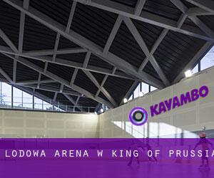 Lodowa Arena w King of Prussia