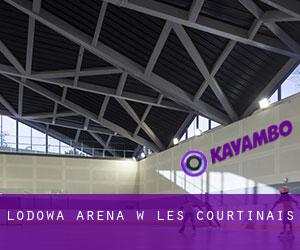 Lodowa Arena w Les Courtinais