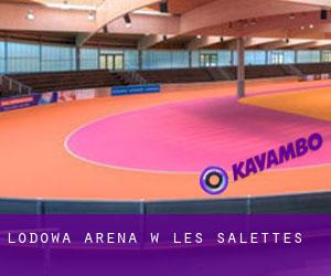 Lodowa Arena w Les Salettes