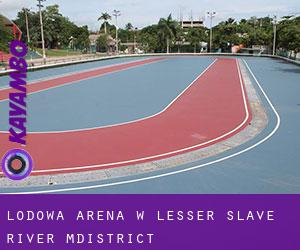 Lodowa Arena w Lesser Slave River M.District