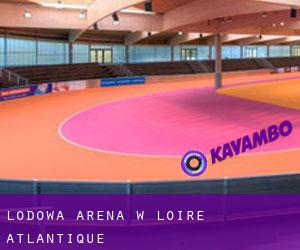 Lodowa Arena w Loire-Atlantique
