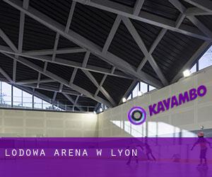 Lodowa Arena w Lyon
