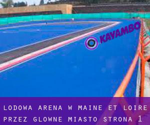 Lodowa Arena w Maine-et-Loire przez główne miasto - strona 1