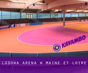 Lodowa Arena w Maine-et-Loire