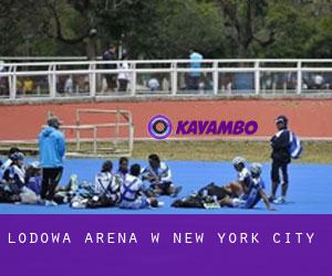 Lodowa Arena w New York City