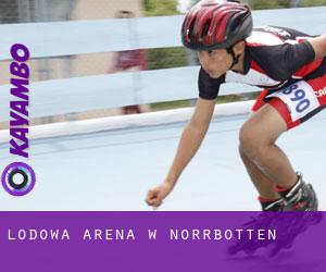 Lodowa Arena w Norrbotten