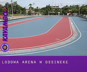 Lodowa Arena w Ossineke