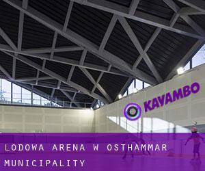 Lodowa Arena w Östhammar Municipality