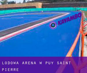 Lodowa Arena w Puy-Saint-Pierre