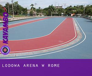 Lodowa Arena w Rome