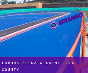 Lodowa Arena w Saint John County