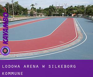 Lodowa Arena w Silkeborg Kommune