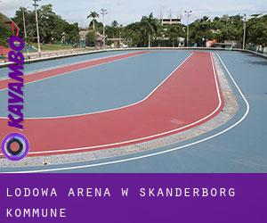 Lodowa Arena w Skanderborg Kommune